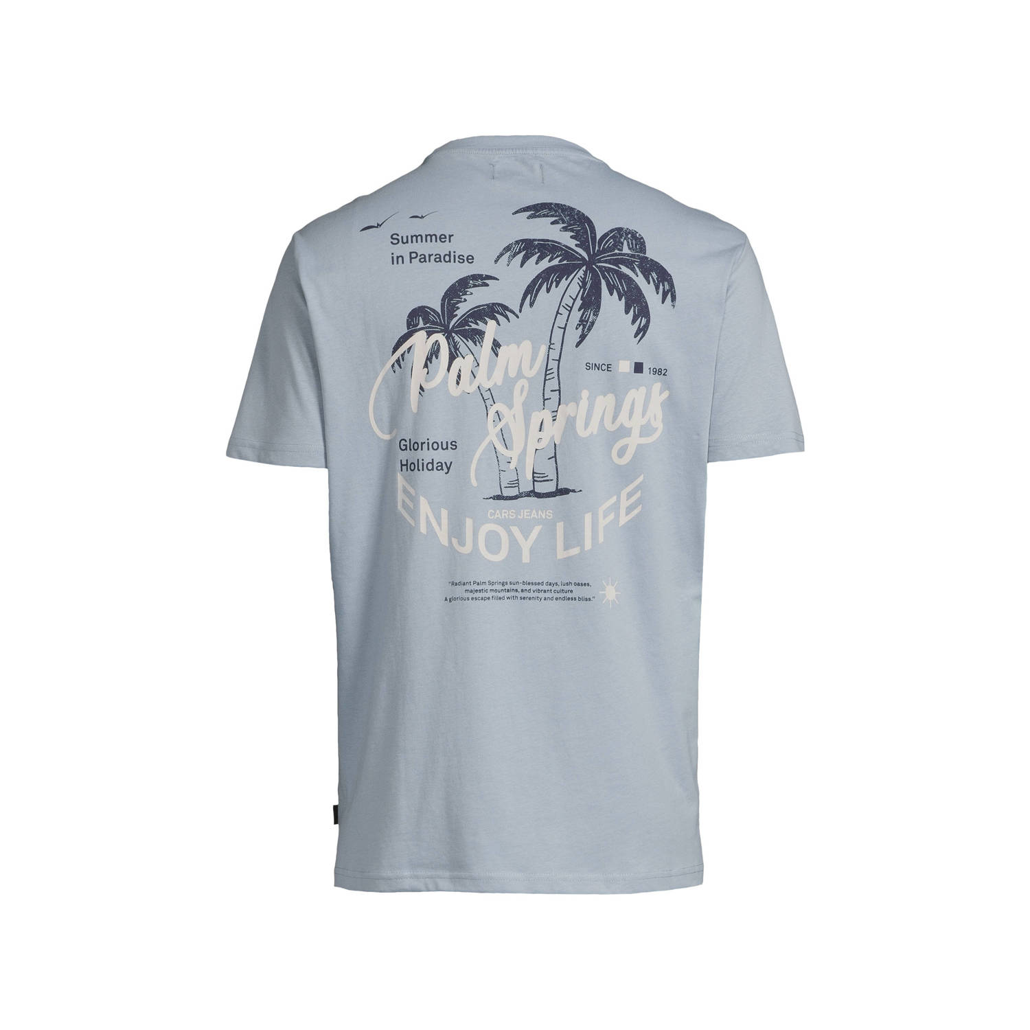 Cars regular T-shirt SUROSO lichtblauw