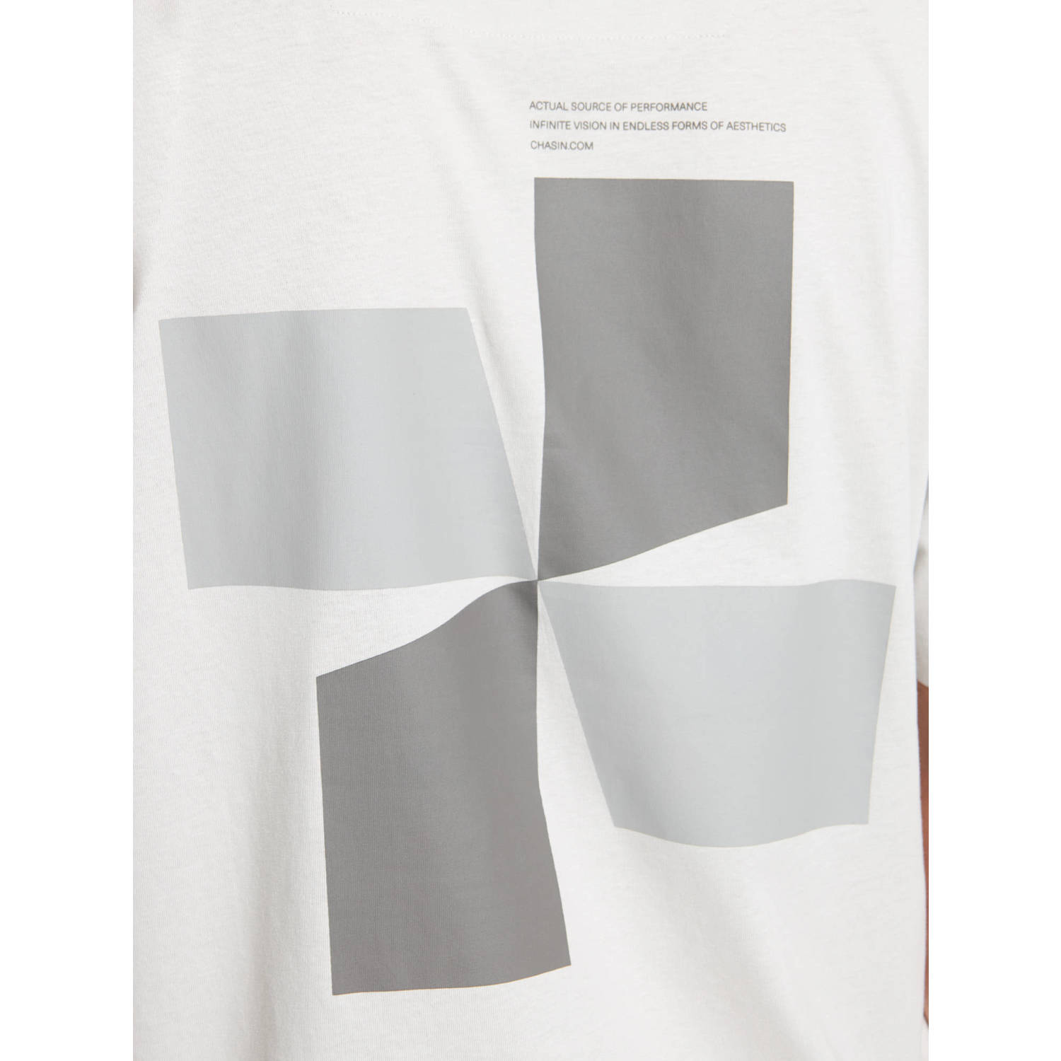 CHASIN' T-shirt lichtgrijs