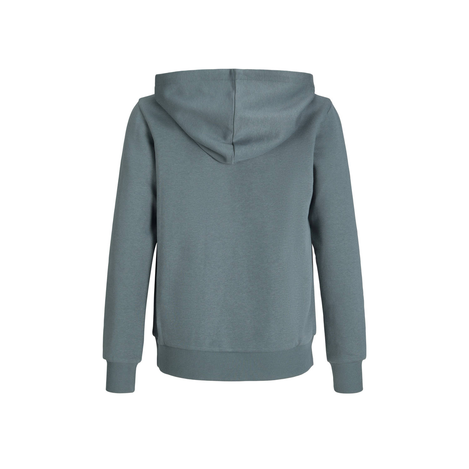 JACK & JONES JUNIOR hoodie grijsblauw
