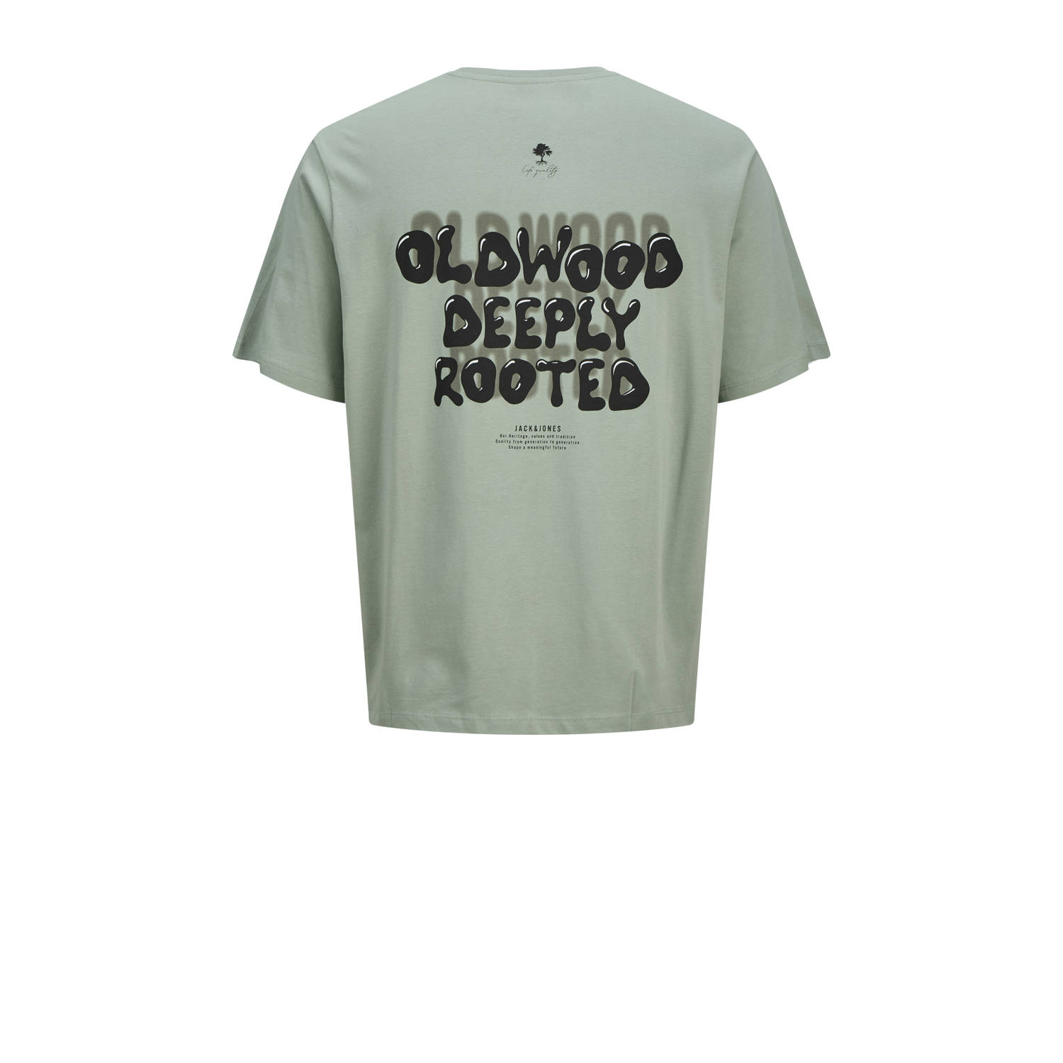 JACK & JONES JUNIOR T-shirt groen