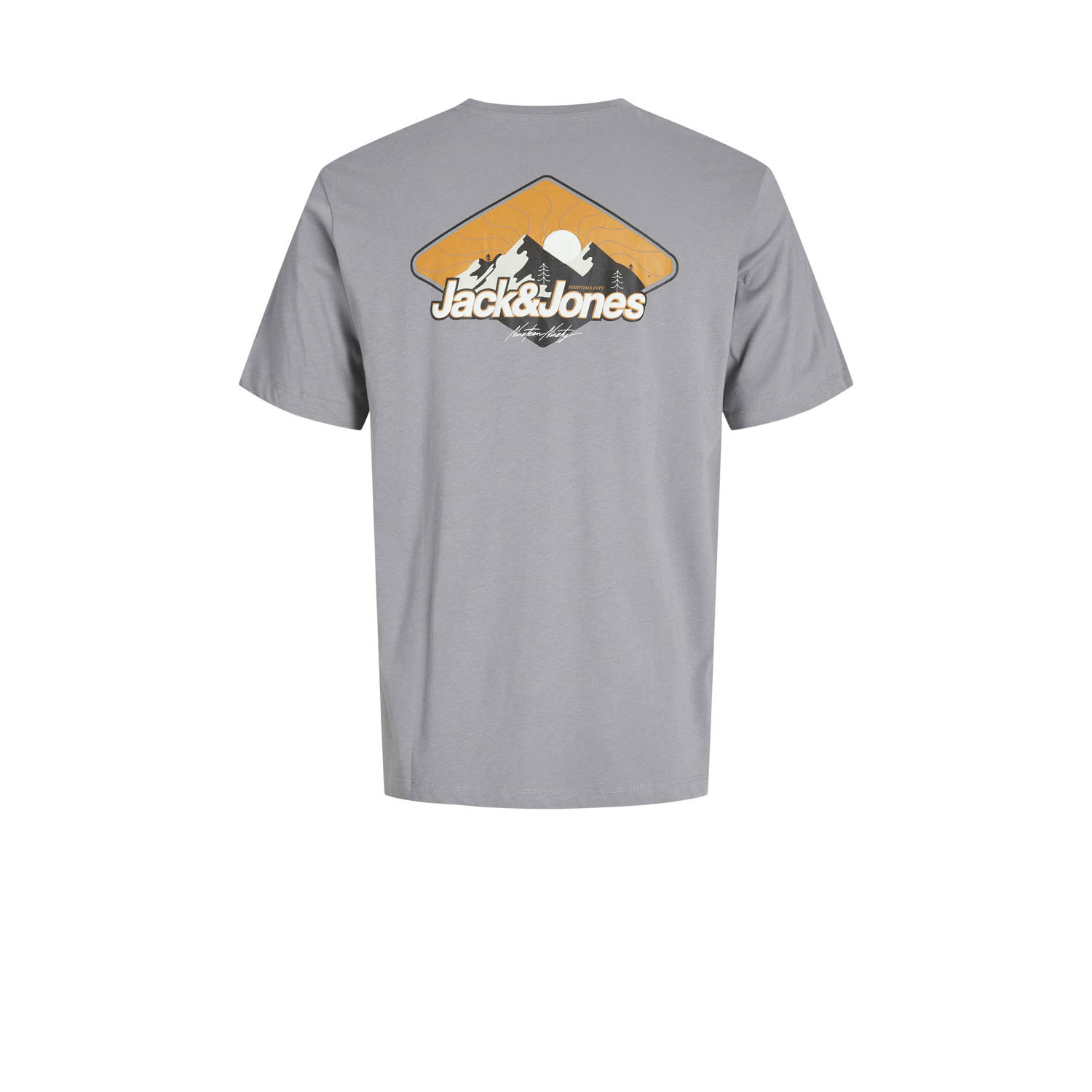 JACK & JONES JUNIOR T-shirt grijs