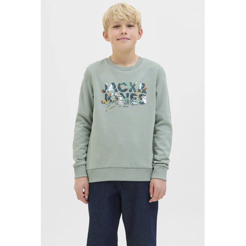 JACK & JONES JUNIOR sweater groen afbeelding