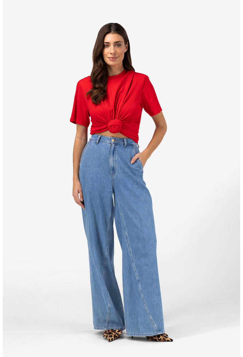 IBANA top rood