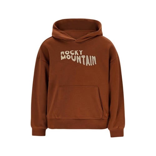 Like Flo Boys hoodie bruin afbeelding
