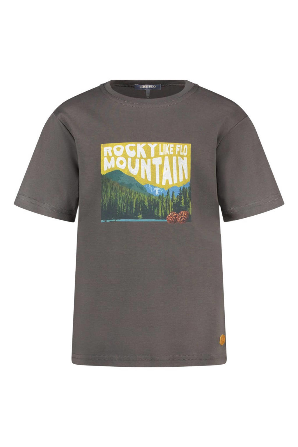 Grijze jongens Like Flo Boys T-shirt van katoen met printopdruk, korte mouwen en ronde hals