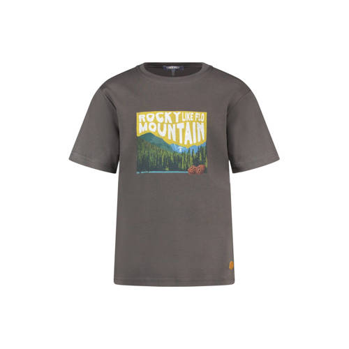 Like Flo Boys T-shirt grijs afbeelding