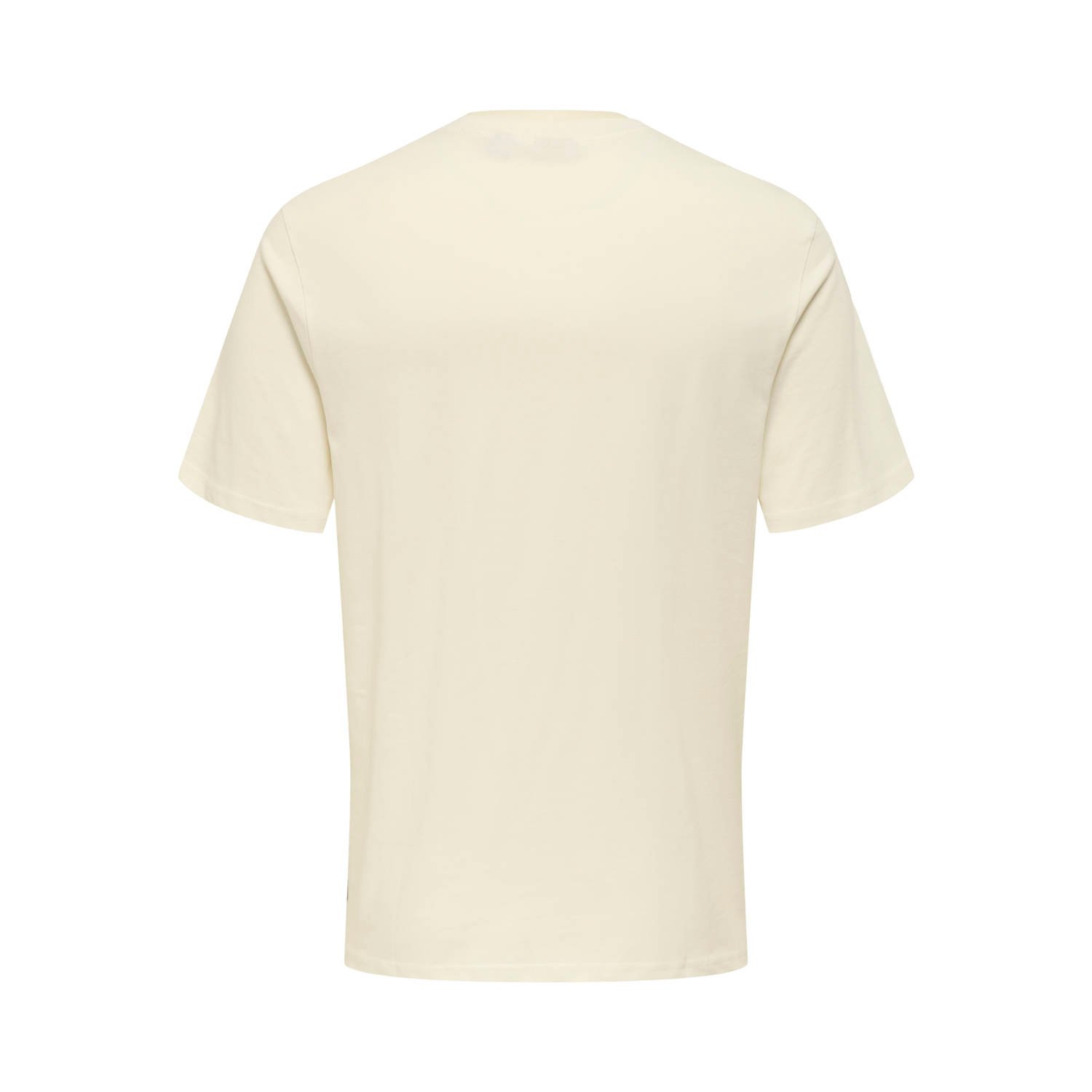 ONLY & SONS regular fit T-shirt ONSMAGDY ecru