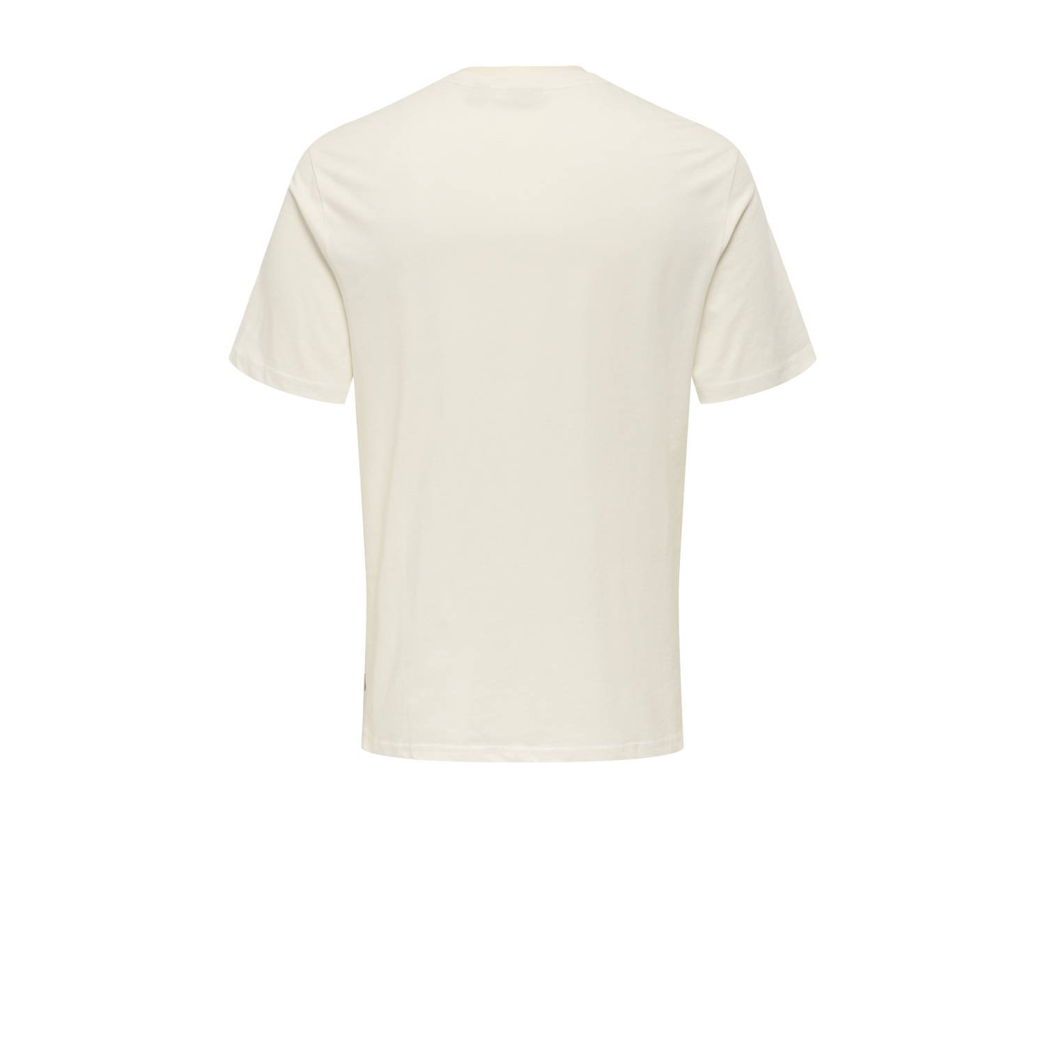 ONLY & SONS regular fit T-shirt ONSMAGDY ecru