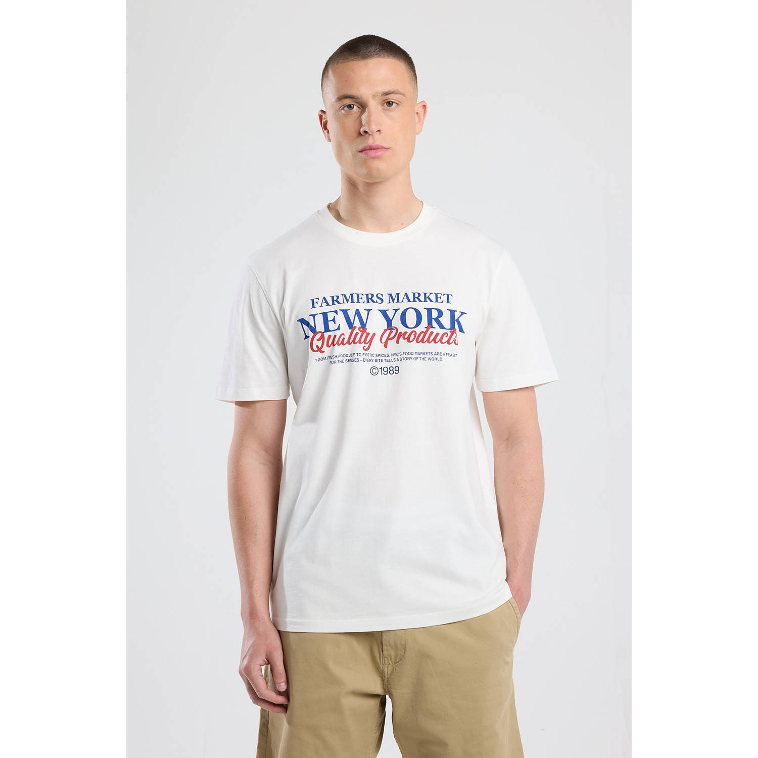 America Today regular T-shirt wit