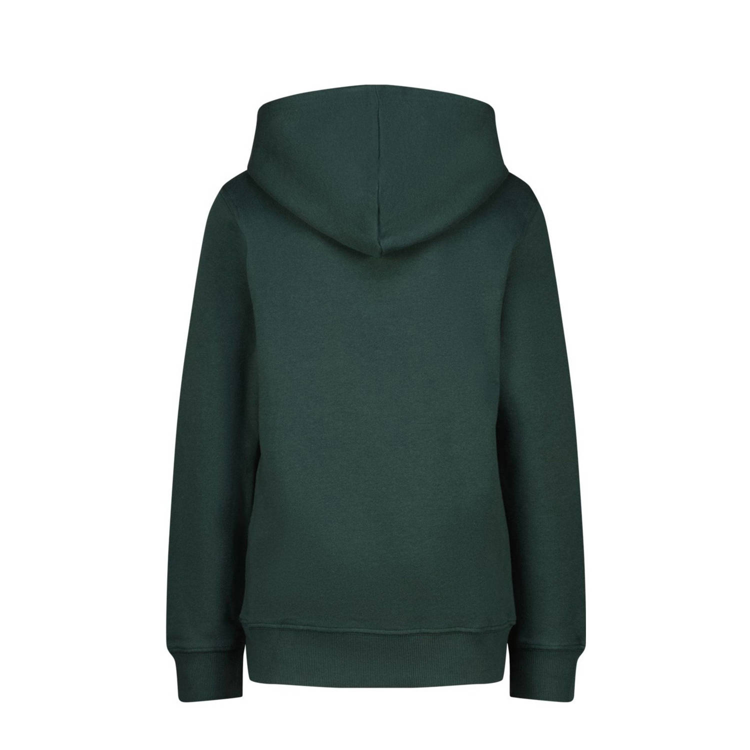 Raizzed hoodie donkergroen