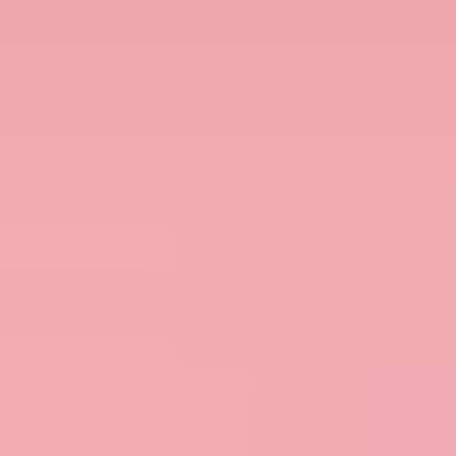 America Today top roze