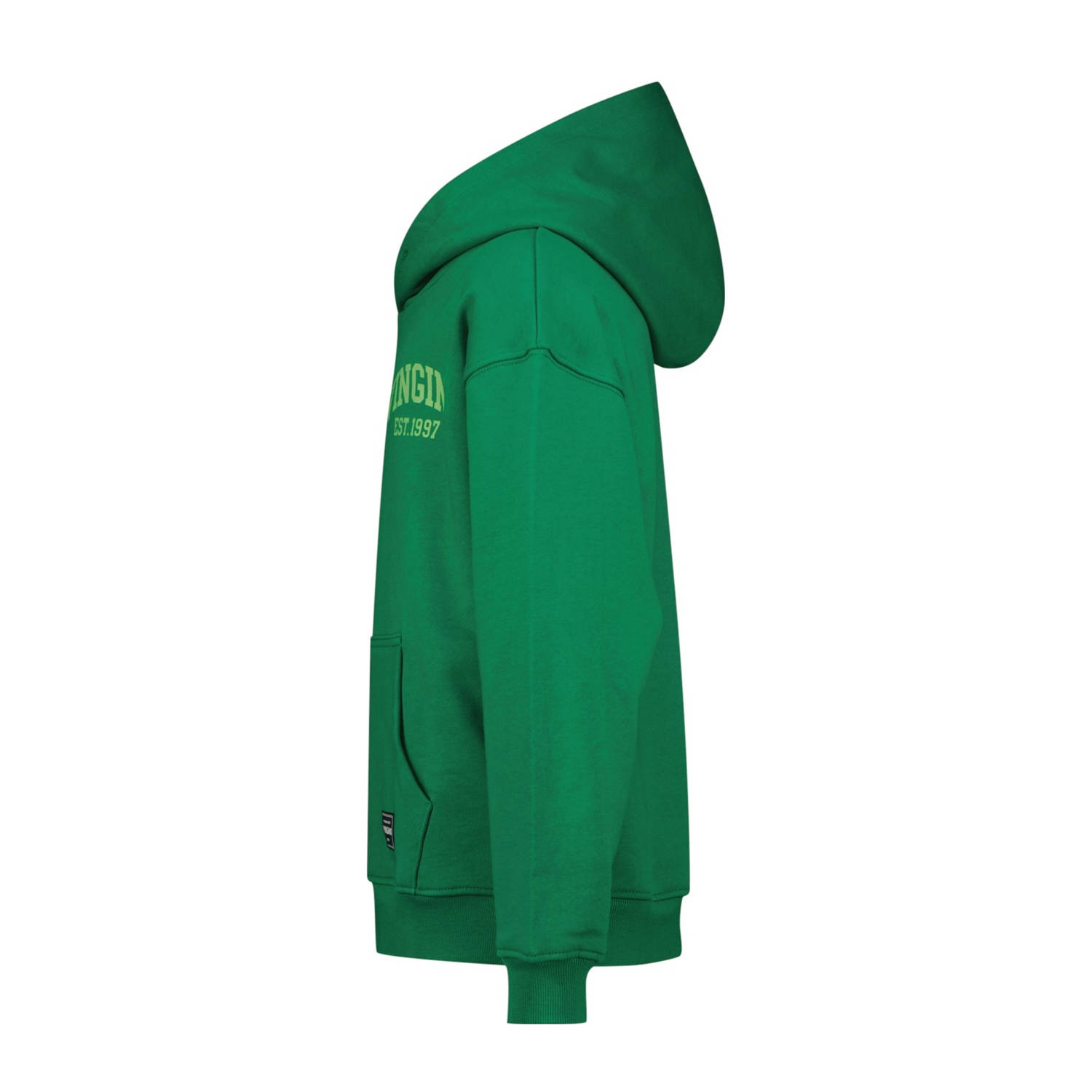 Vingino hoodie groen