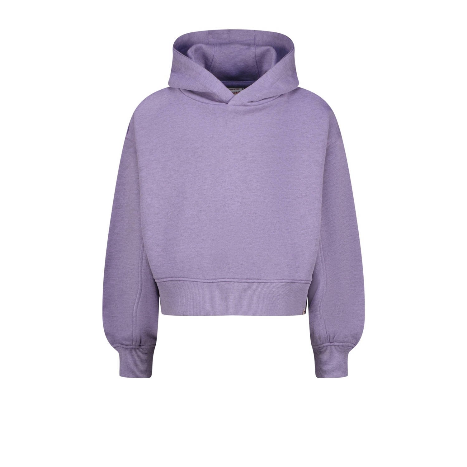 Vingino hoodie paars
