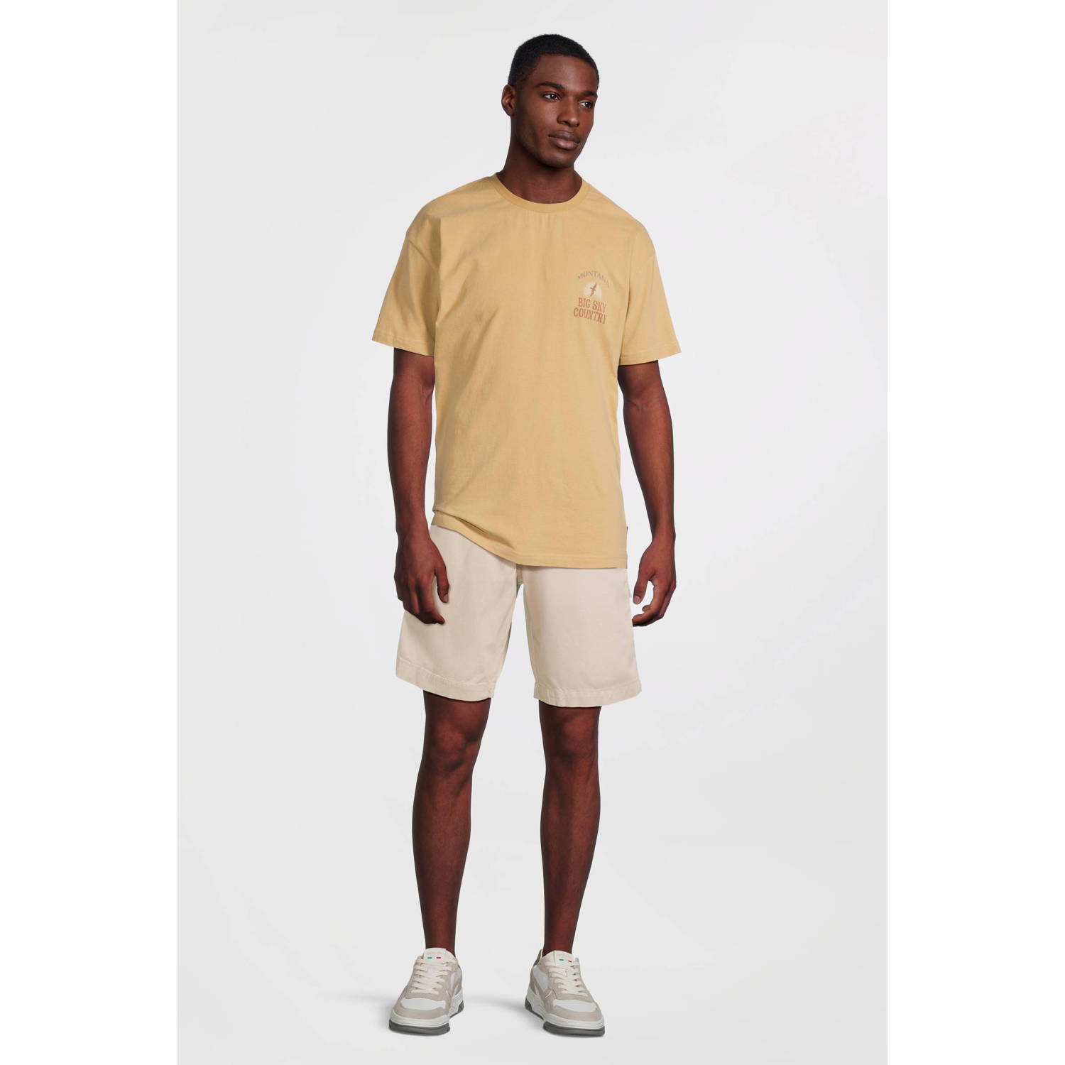 Cars regular cargo short zand