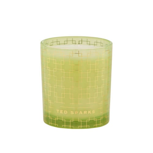 Ted Sparks geurkaars - Ylang - Ylang & Bamboo afbeelding