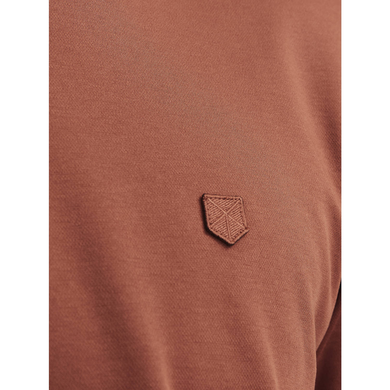JACK & JONES PREMIUM regular polo brique