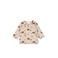 Feetje longsleeve beige