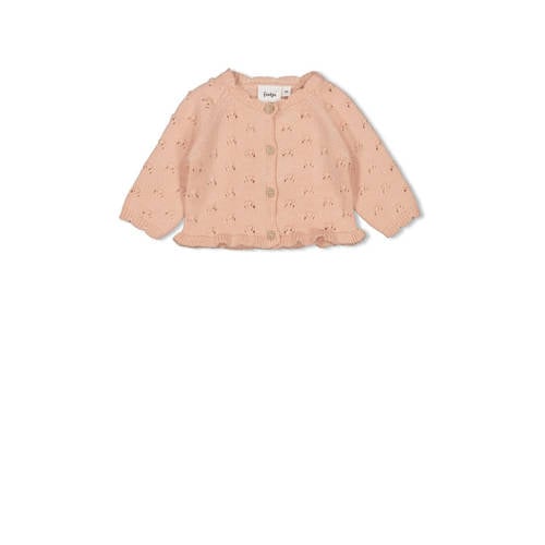 Feetje vest roze fijn gebreid afbeelding