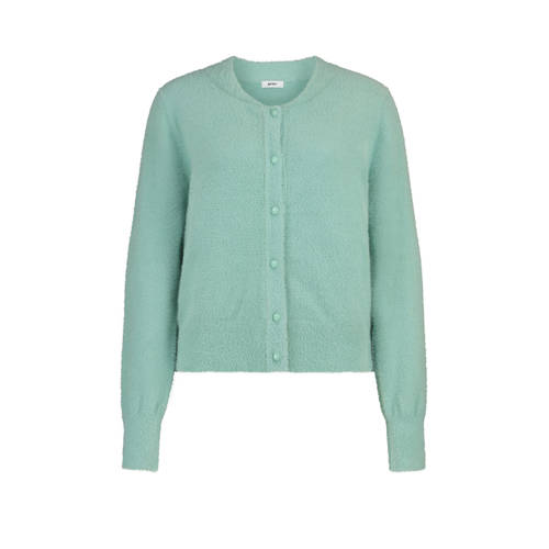 gardeur vest groen gebreid afbeelding