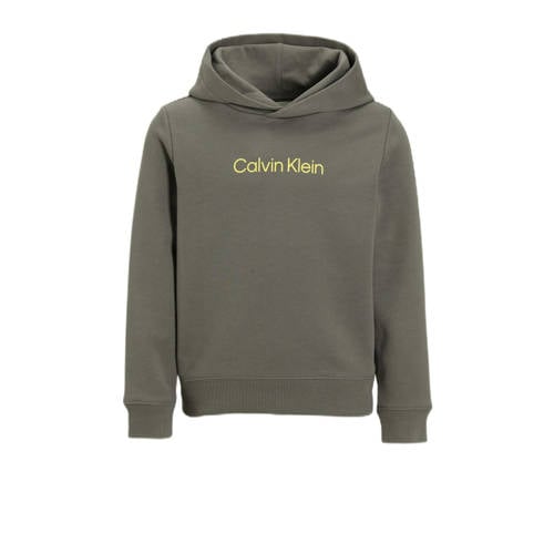 Calvin Klein hoodie afbeelding