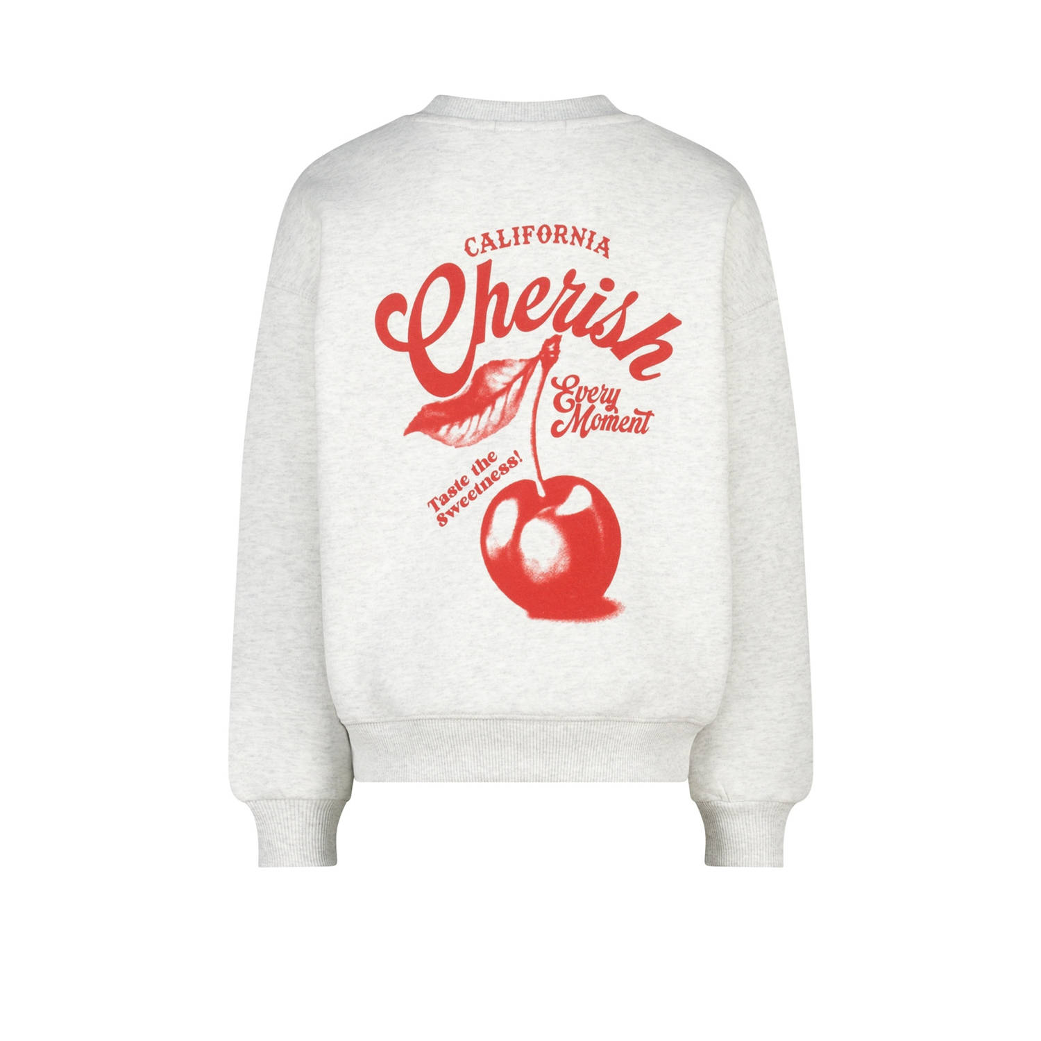 America Today sweater lichtgrijs