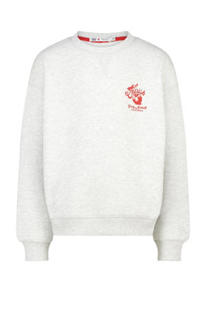 sweater lichtgrijs