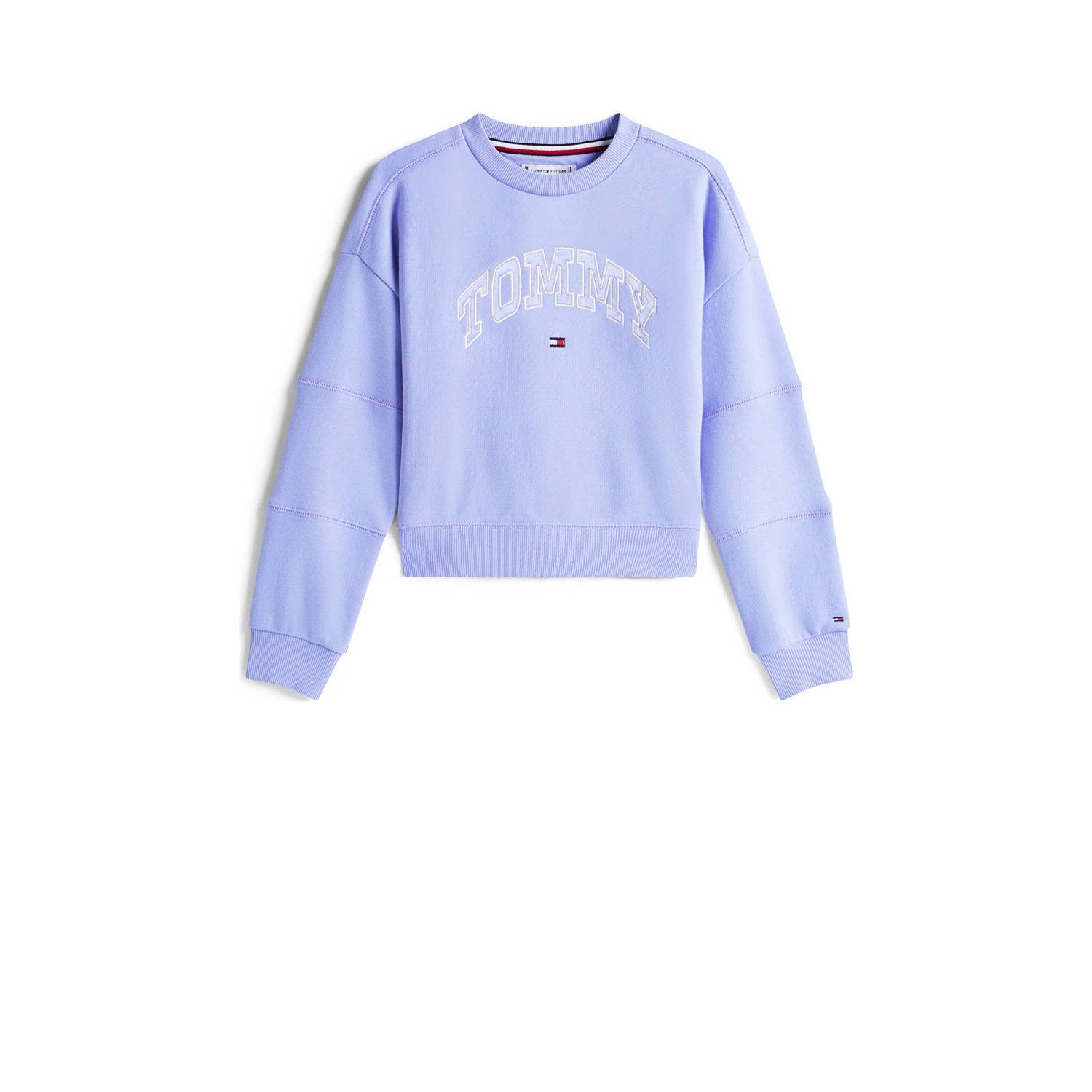 Tommy Hilfiger sweater lichtblauw