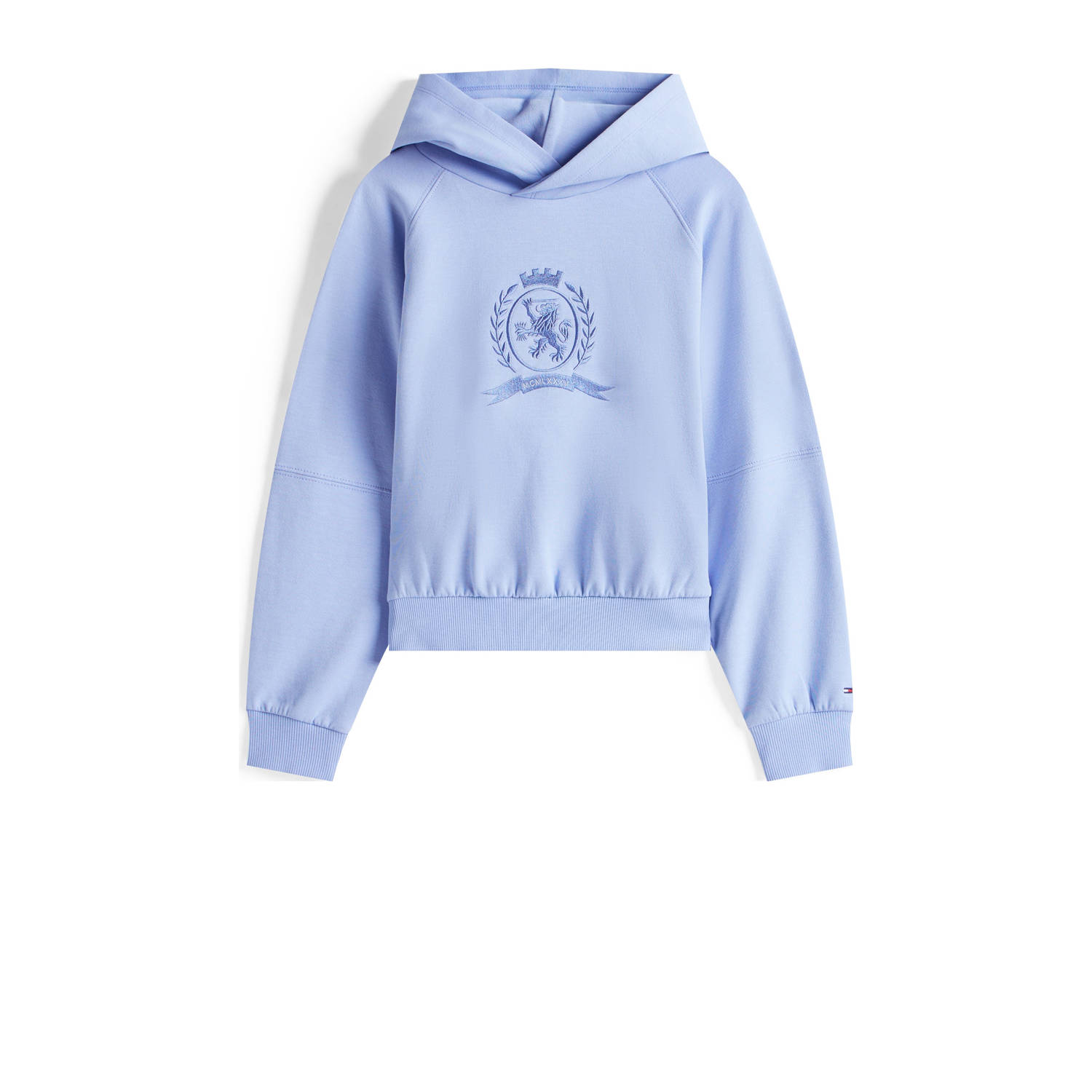 Tommy Hilfiger hoodie lichtblauw