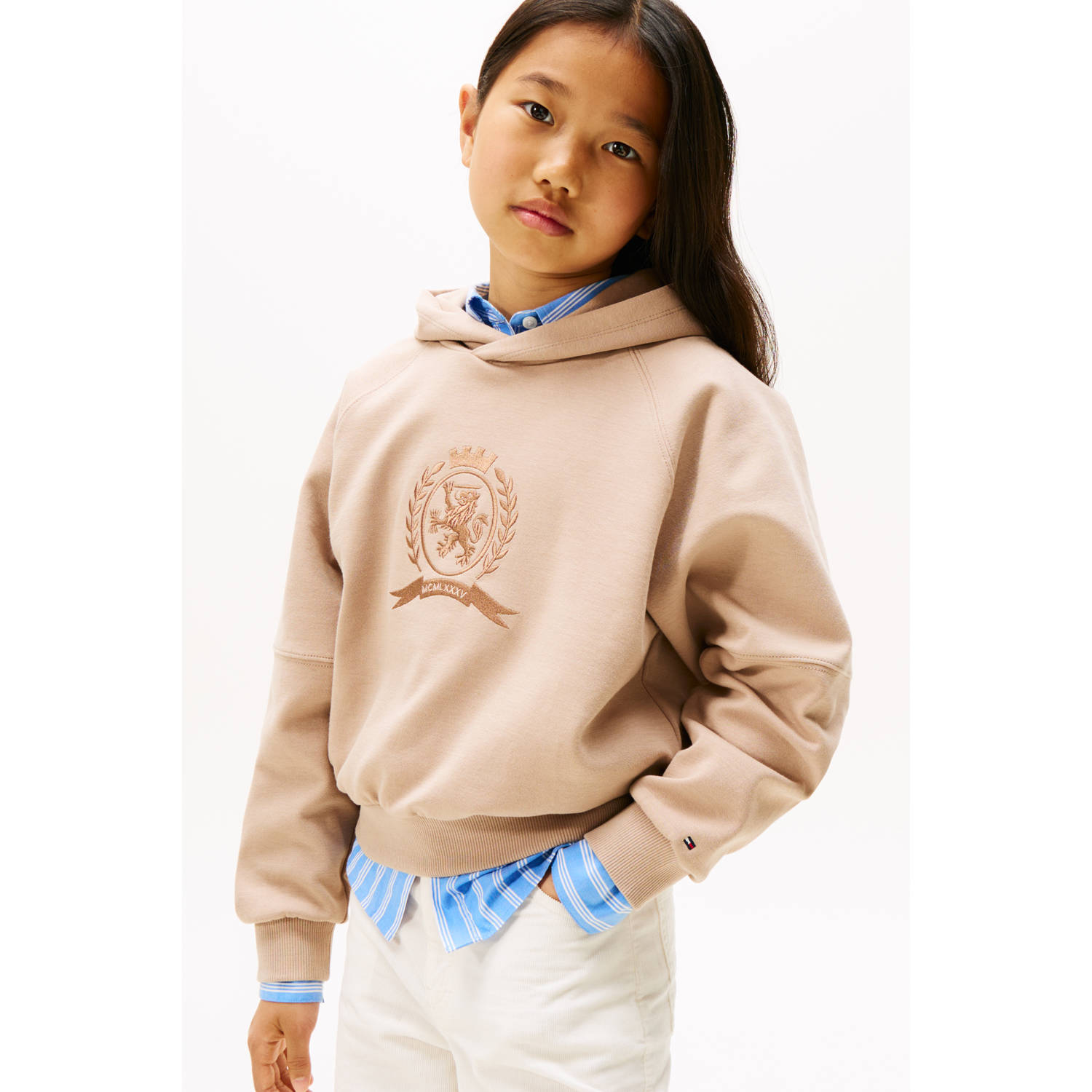 Tommy Hilfiger hoodie beige