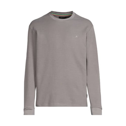 REPLAY longsleeve grijs afbeelding