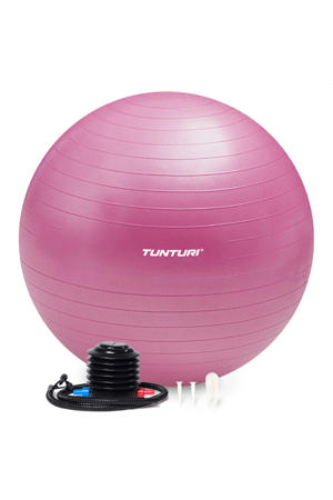 gymbal 75 cm paars