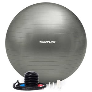 gymbal 65 cm zilvergrijs