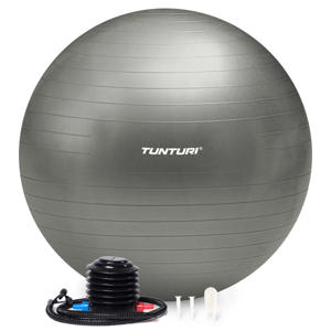  gymbal 65 cm zilvergrijs