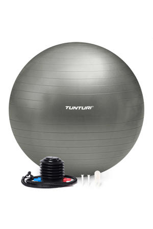  gymbal 65 cm zilvergrijs