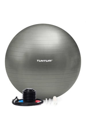 gymbal 65 cm zilvergrijs