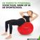 Tunturi  gymbal 65 cm rood