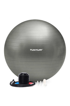 gymbal 75 cm zilvergrijs