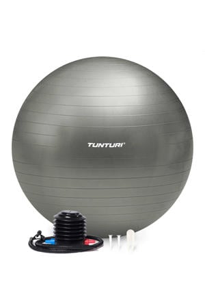 gymbal 55 cm zilver