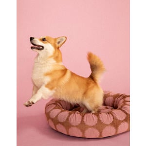 Hondenmand rond DOT-ROUND-BED-MOCHA/PINK-M (75X25 cm)