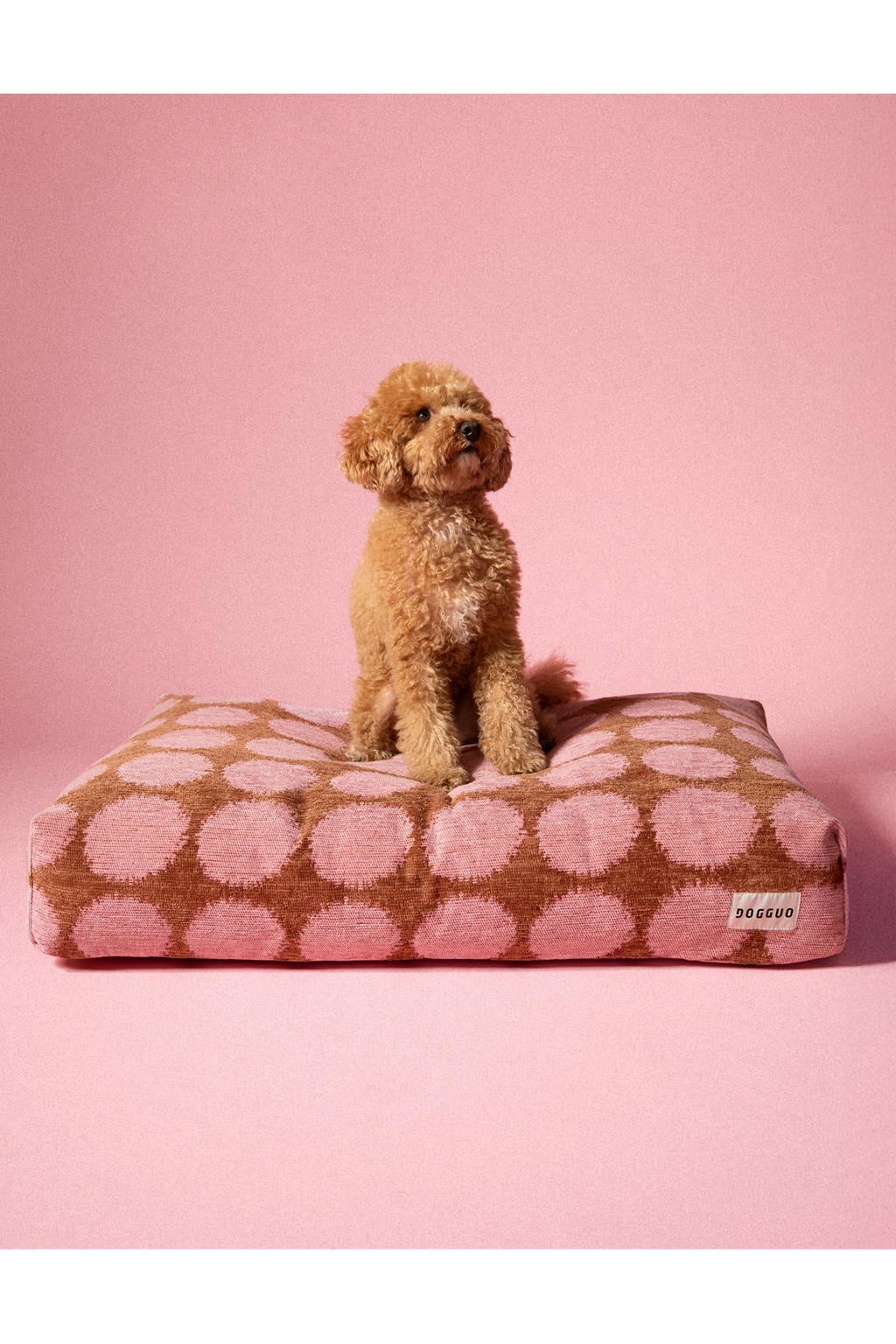 Dogguo Hondenkussen DOT-BED-MOCHA/PINK-L (105X65X15 cm)