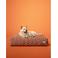 Dogguo Hondenkussen RETRO-WAVE-BED-BROWN/BEIGE-M (85X55X15 cm)