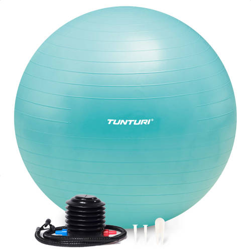 Tunturi gymbal 65 cm turquoise afbeelding