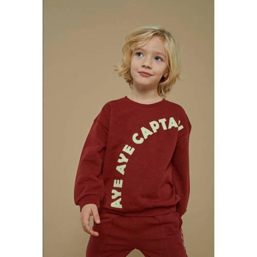 Sturdy sweater donkerrood afbeelding