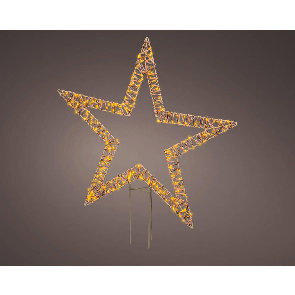 Lumineo LED kerst tuinsteker ster - buiten - klassiek wit