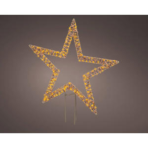 LED kerst tuinsteker ster - buiten - klassiek wit