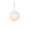 Lumineo LED ster papier - binnen - warm wit