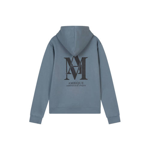 Ambique hoodie met backprint grijsblauw afbeelding