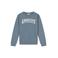Ambique sweater grijsblauw