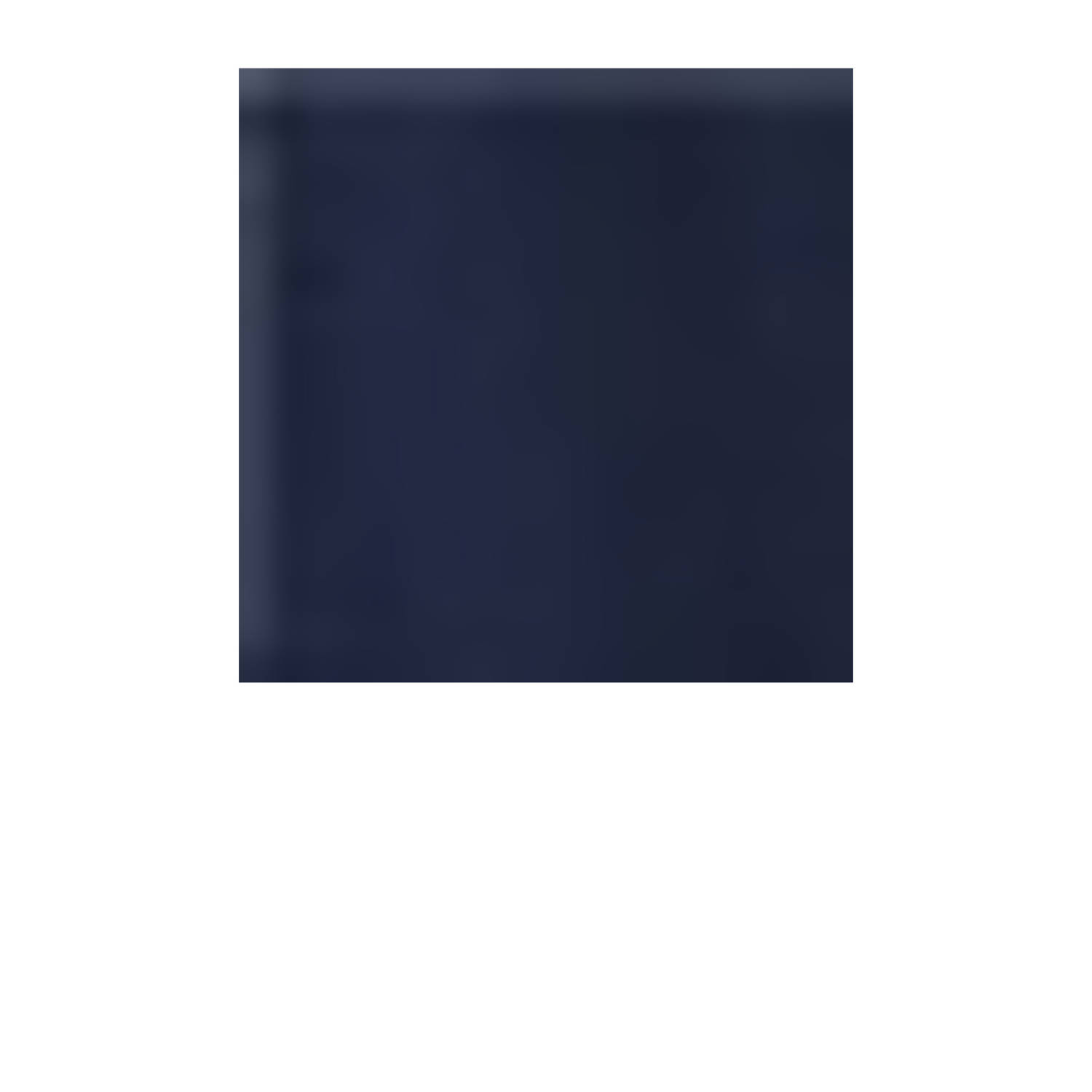 America Today high waist casual short donkerblauw