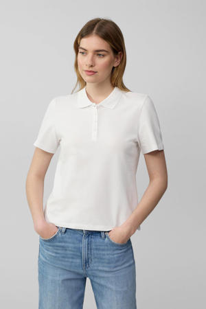 polo wit
